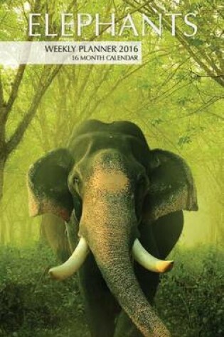 Cover of Elephants Weekly Planner 2016