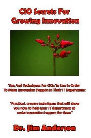 Cover of CIO Secrets For Growing Innovation