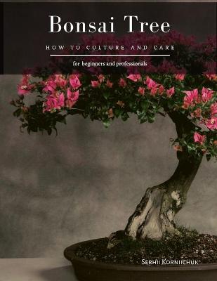 Book cover for Bonsai Tree