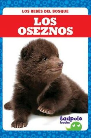 Cover of Los Oseznos