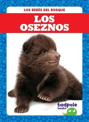 Book cover for Los Oseznos