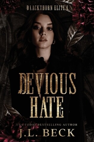 Cover of Devious Hate
