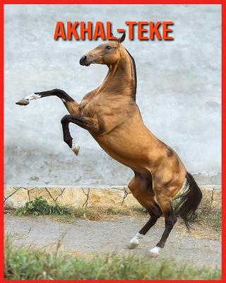 Book cover for Akhal-Teke