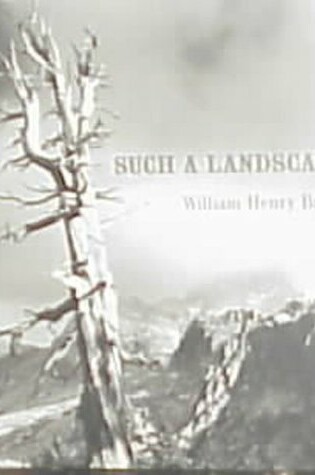 Cover of Such a Landscape!