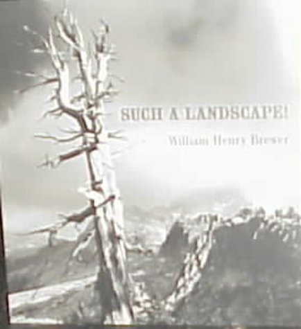 Book cover for Such a Landscape!