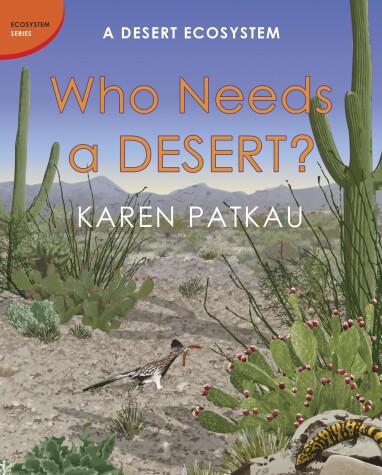 Book cover for Who Needs a Desert?