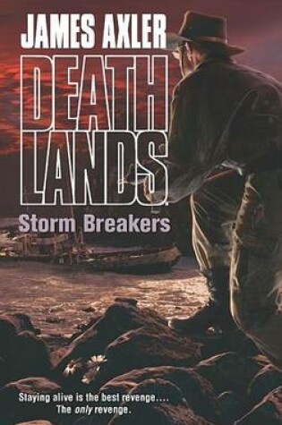 Cover of Storm Breakers