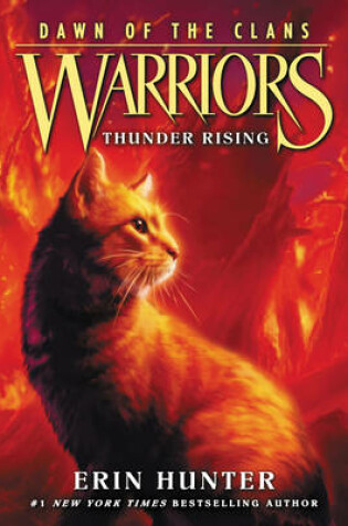 Cover of Thunder Rising