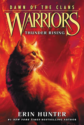 Book cover for Thunder Rising