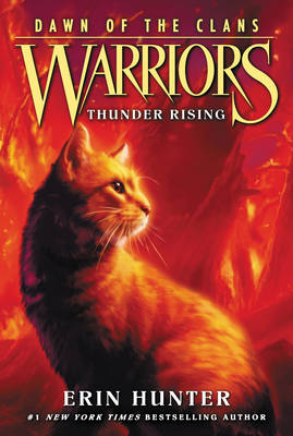 Cover of Thunder Rising