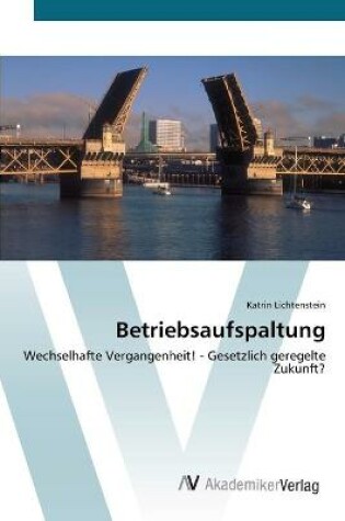 Cover of Betriebsaufspaltung