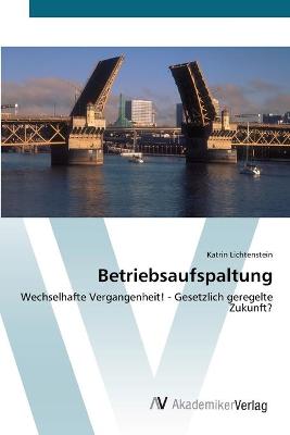 Book cover for Betriebsaufspaltung