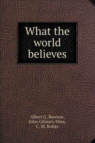 Cover of What the world believes