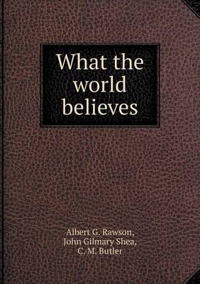 Book cover for What the world believes