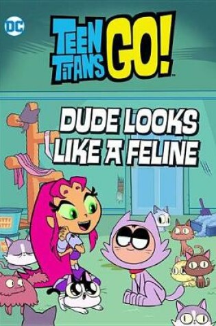 Cover of Teen Titans Go! (Tm): Dude Looks Like a Feline