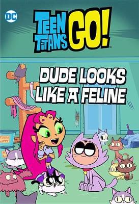 Book cover for Teen Titans Go! (Tm): Dude Looks Like a Feline