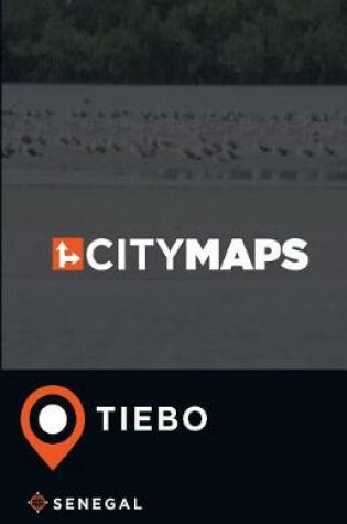 Cover of City Maps Tiebo Senegal