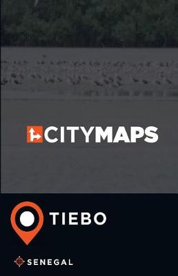 Book cover for City Maps Tiebo Senegal