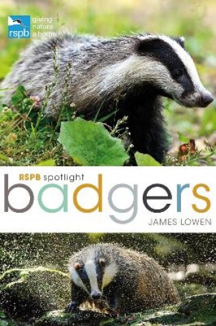 Cover of RSPB Spotlight: Badgers