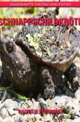 Cover of Schnappschildkröte