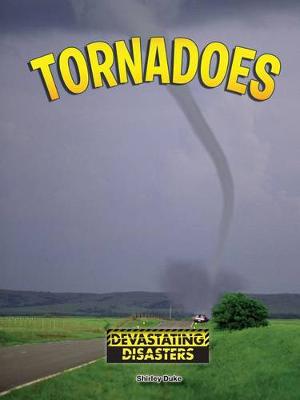 Book cover for Tornadoes