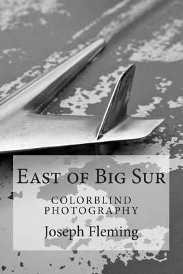 Book cover for East of Big Sur