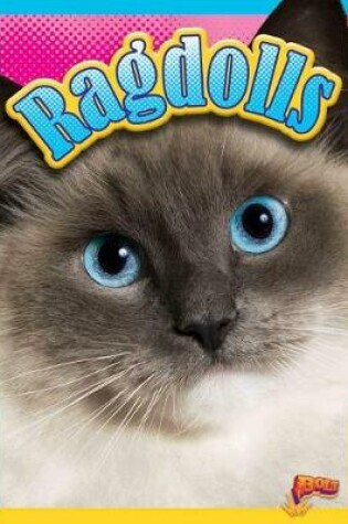 Cover of Ragdolls