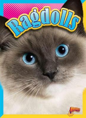 Book cover for Ragdolls