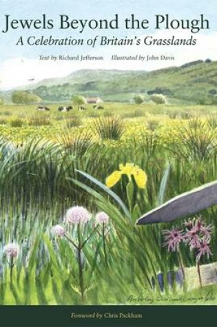 Cover of Jewels Beyond the Plough