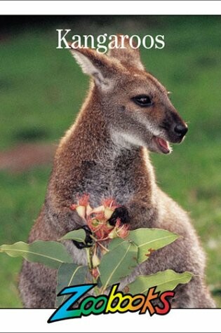 Kangaroos