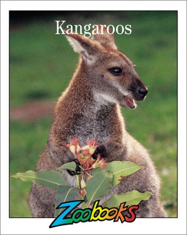 Book cover for Kangaroos