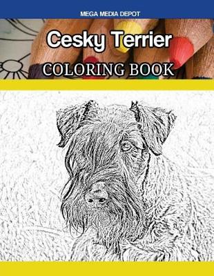 Book cover for Cesky Terrier Coloring Book