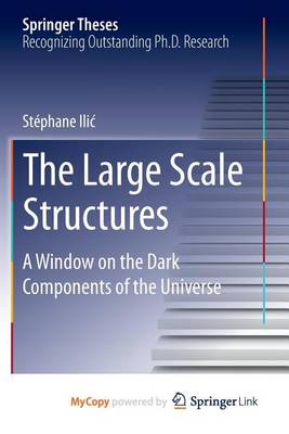 Book cover for The Large Scale Structures