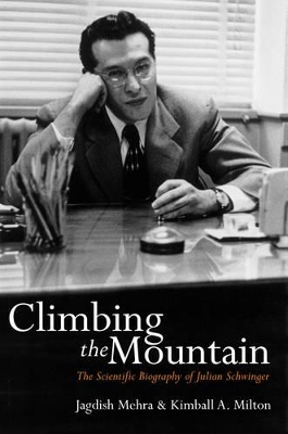 Book cover for Climbing the Mountain