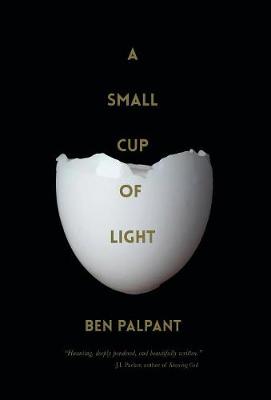 Cover of A Small Cup of Light