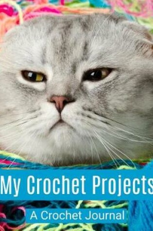 Cover of My Crochet Projects