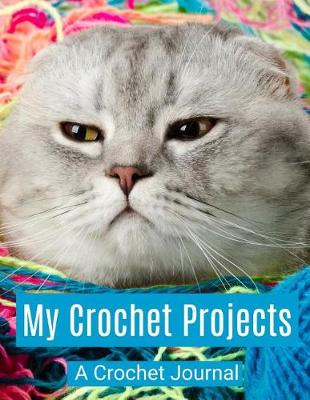 Book cover for My Crochet Projects