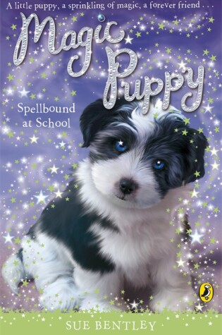 Cover of Spellbound at School