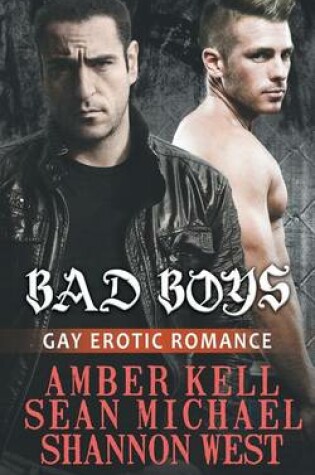 Cover of Bad Boys