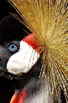 Book cover for Grey Crowned Crane Notebook