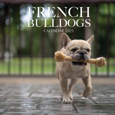 Book cover for French Bulldogs Calendar 2021