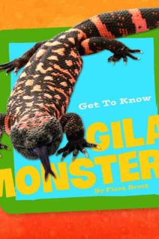 Cover of Get to Know Reptiles Get to Know Gila Monsters