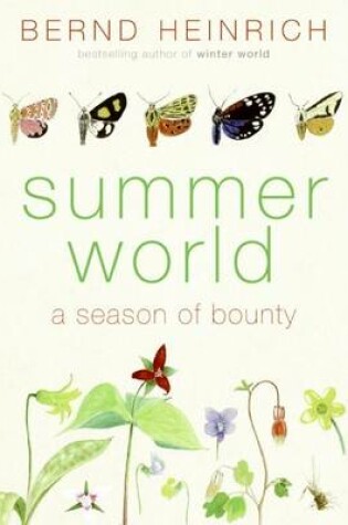 Cover of Summer World