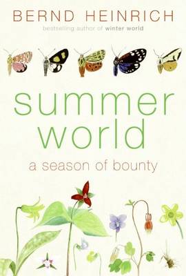 Cover of Summer World