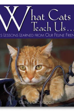 Cover of What Cats Teach Us...: Life's Lessons Learned from Our Feline Friends