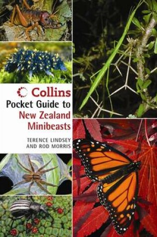 Cover of Collins Pocket Guide to New Zealand Minibeasts