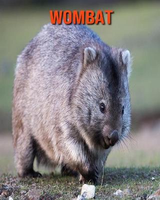 Book cover for Wombat