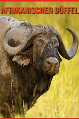 Cover of Afrikanischer Büffel