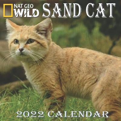 Book cover for Sand Cat Calendar 2022