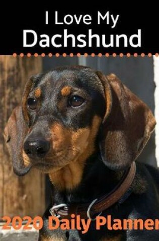 Cover of I Love My Dachshund